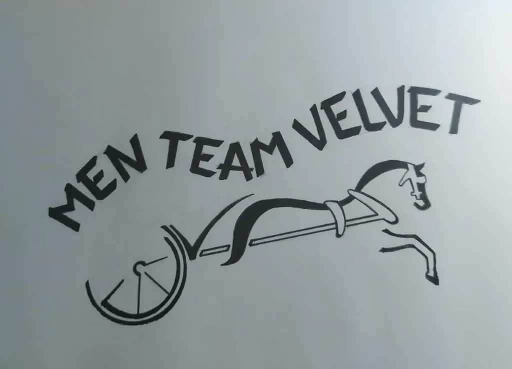 Team Velvet